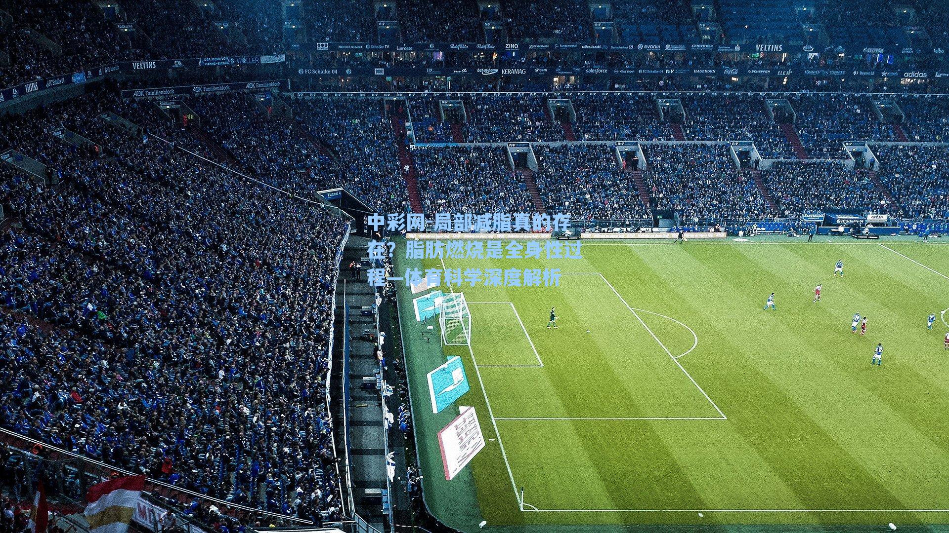 局部减脂真的存在？脂肪燃烧是全身性过程—体育科学深度解析