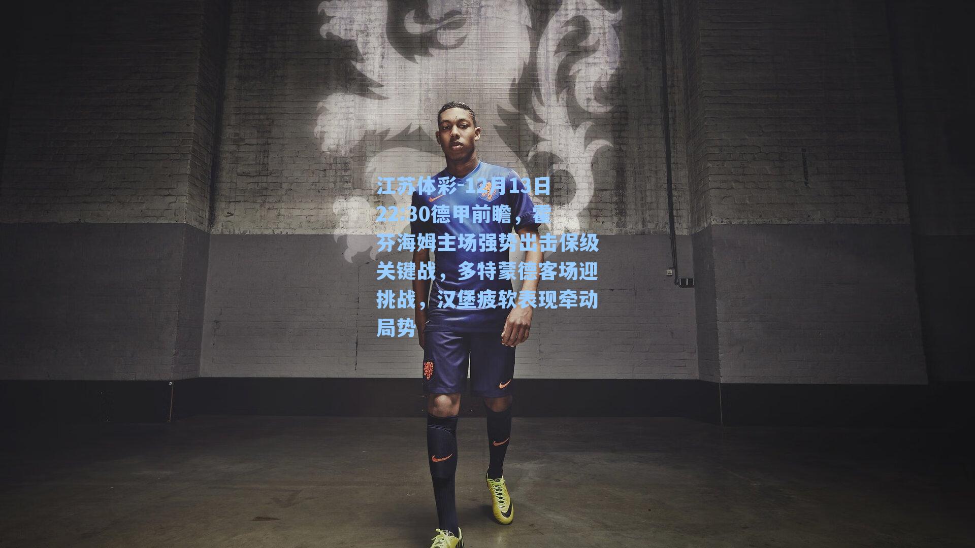 12月13日22:30德甲前瞻，霍芬海姆主场强势出击保级关键战，多特蒙德客场迎挑战，汉堡疲软表现牵动局势