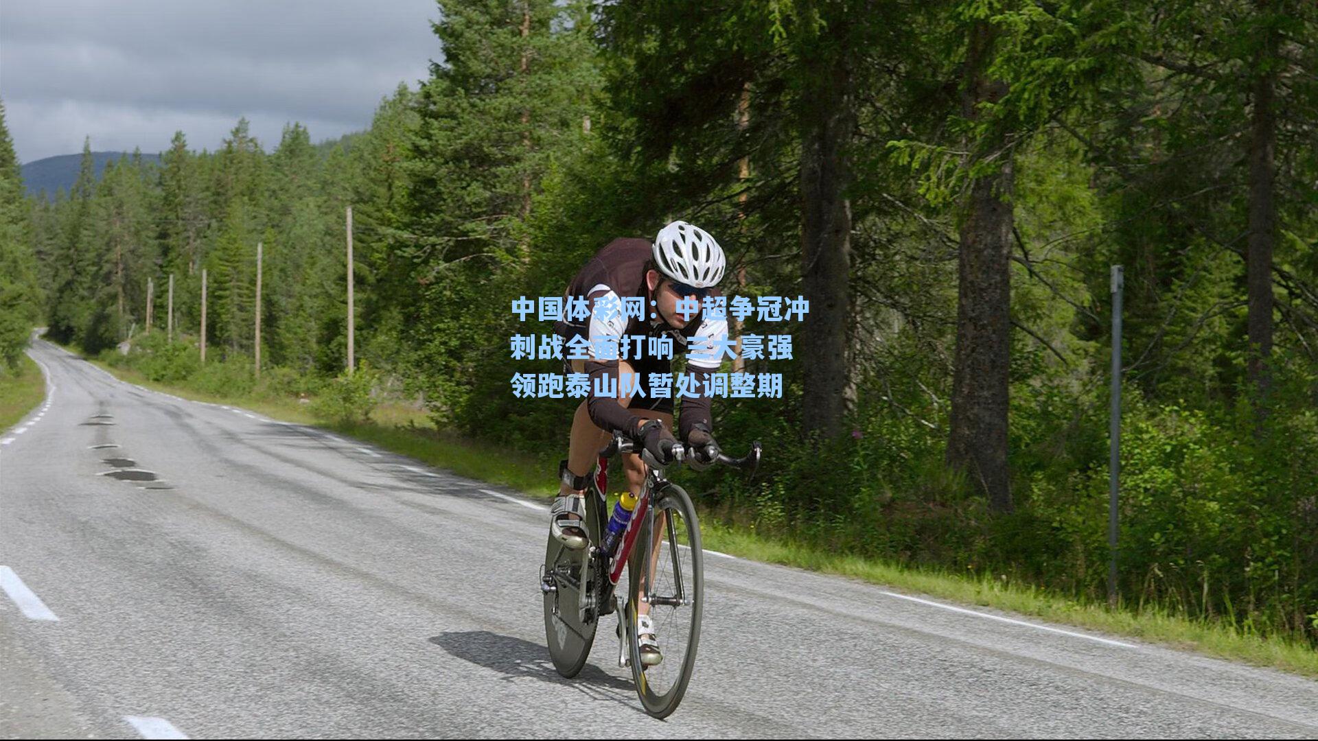 中超争冠冲刺战全面打响 三大豪强领跑泰山队暂处调整期